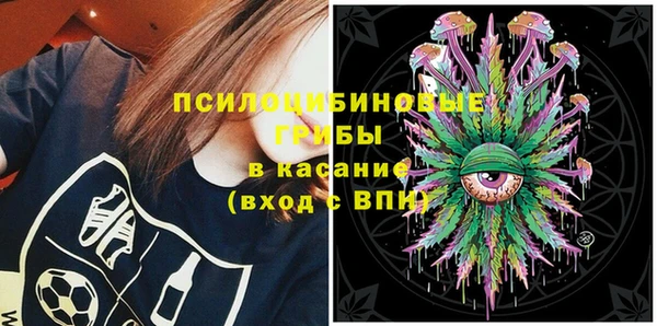сатива Нефтекумск