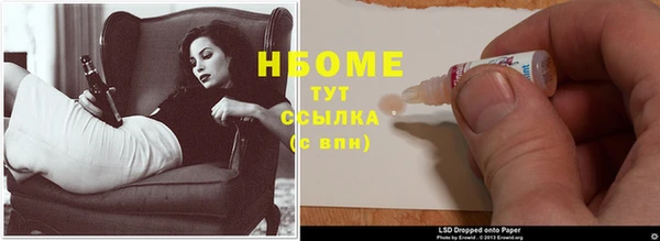 сатива Нефтекумск