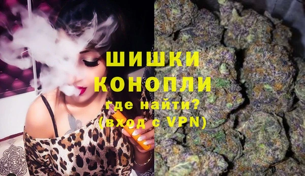 бошки Нея