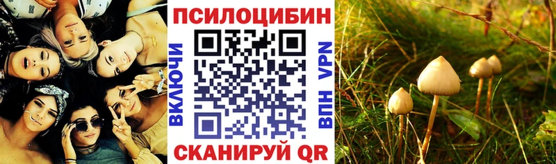 Псилоцибиновые грибы ЛСД купить Кондрово